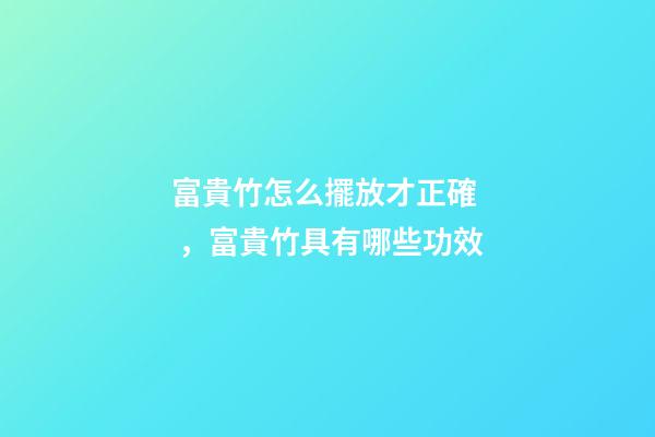 富貴竹怎么擺放才正確，富貴竹具有哪些功效